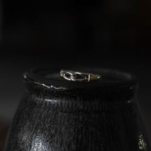 CONNECT RING (SV&18K)